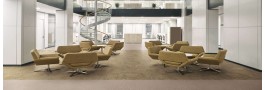Dale LVT Saga ² new 2019